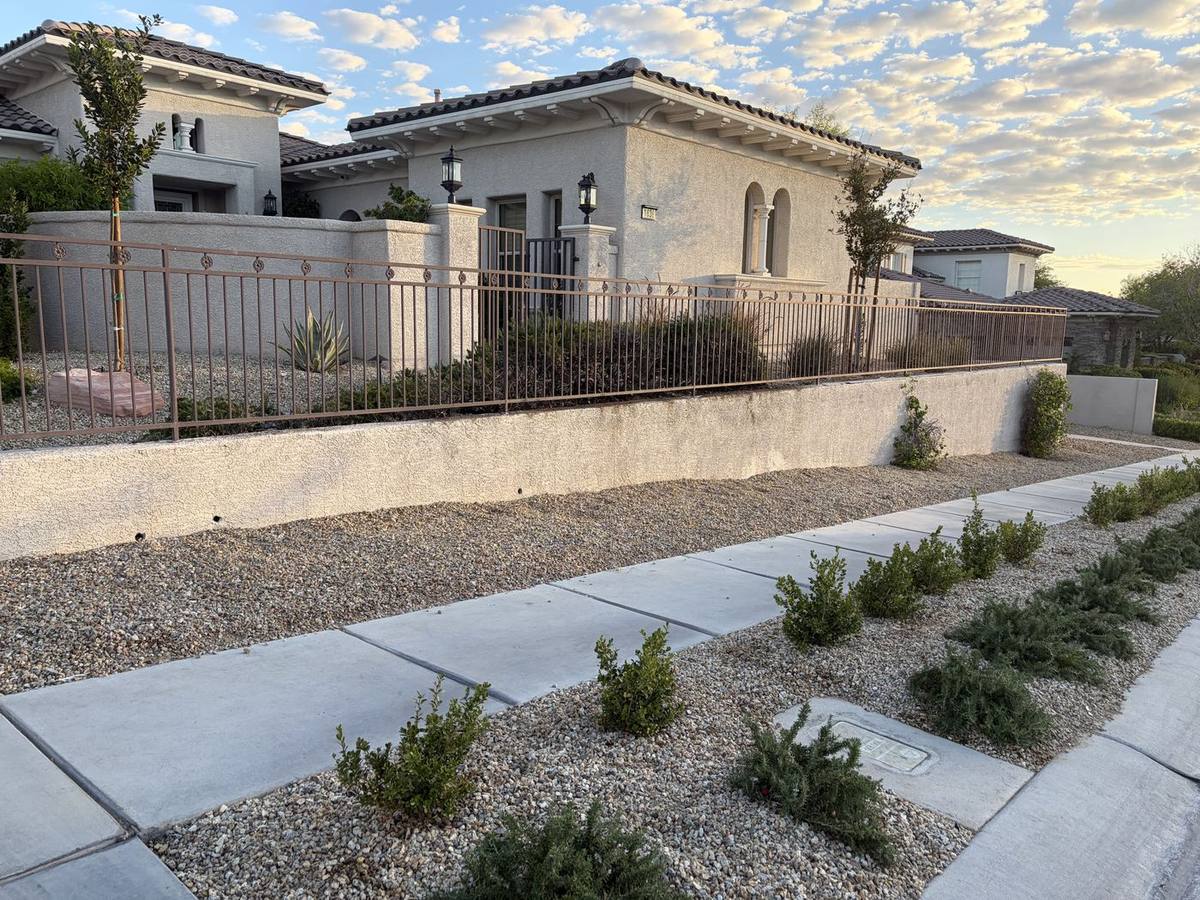 Front yard with dark metal fence on stucco wall and gravel planter behind