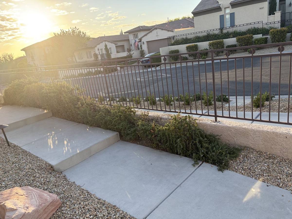 Street side of the dark metal fence with small shrubs and sidewalk strip